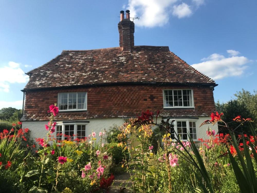 The Studio Wisborough Green エクステリア 写真